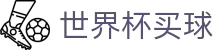 2026国际足联世界杯买球官方网站首页 · 官方赛事入口